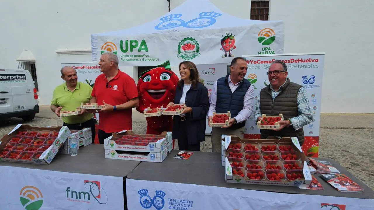 UPA Fresas