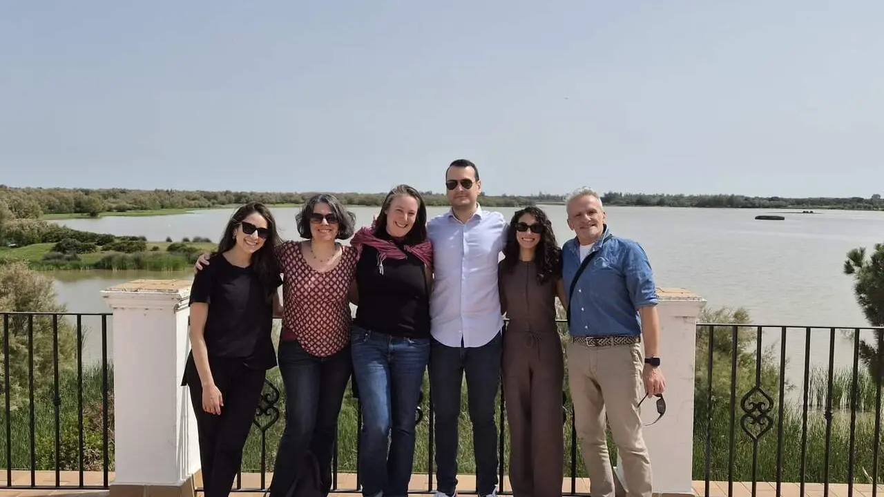 Periodistas de Estados Unidos, Reino Unido y Portugal en El Roc&iacute;o. | Diputaci&oacute;n de Huelva.