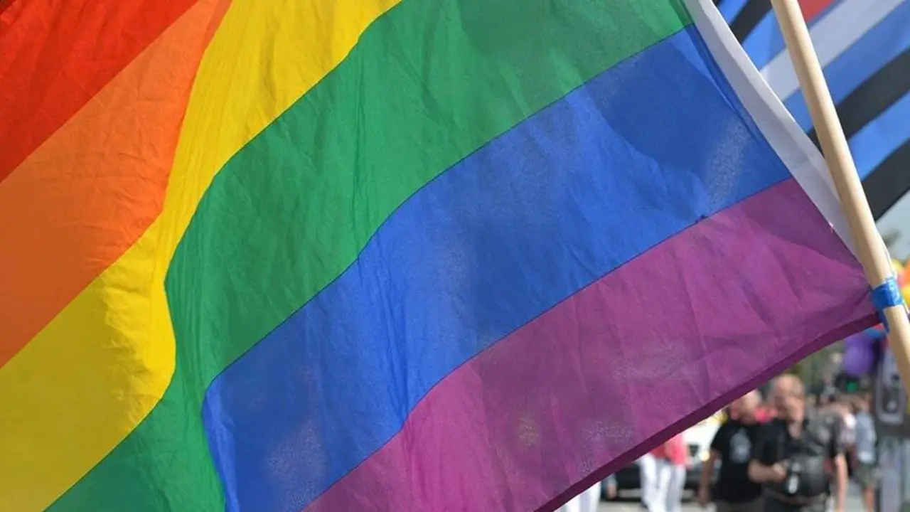  Bandera Lgtbi. | Europa Press. 