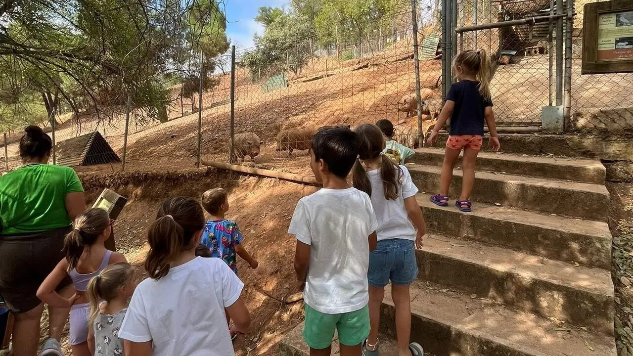 Menores visitan el parque cineg&eacute;tico de El Ronquillo | DIPUTACI&Oacute;N DE SEVILLA