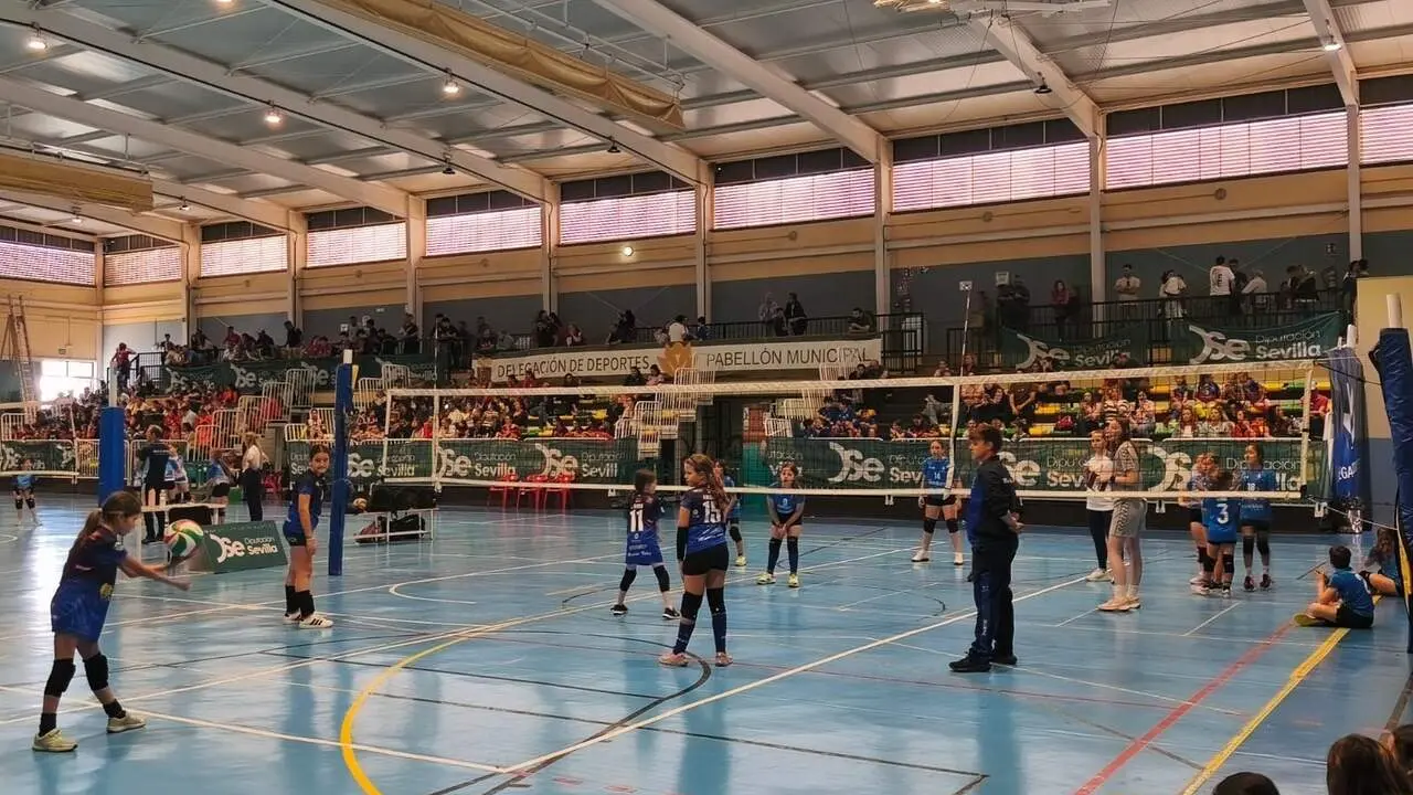 Uno de los partidos del torneo provincial D&iacute;a de la Provincia que organiza la Diputaci&oacute;n. | DIPU
