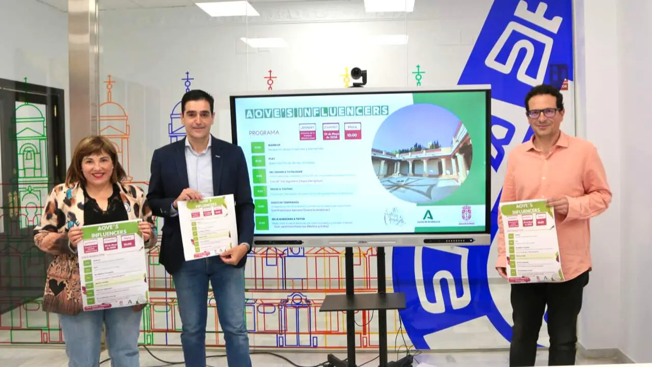 Presentaci&oacute;n de la jornada AOVE&acute;s Influencers.