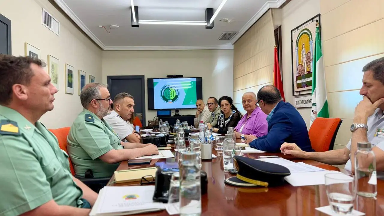 Reuni&oacute;n del Comit&eacute; Asesor Provincial del Plan Infoca. - Foto: Junta.