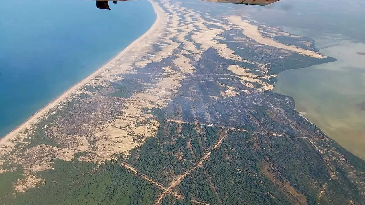 Incendio en el paraje del Rinc&oacute;n del Membrillo, en Almonte. | Infoca.
