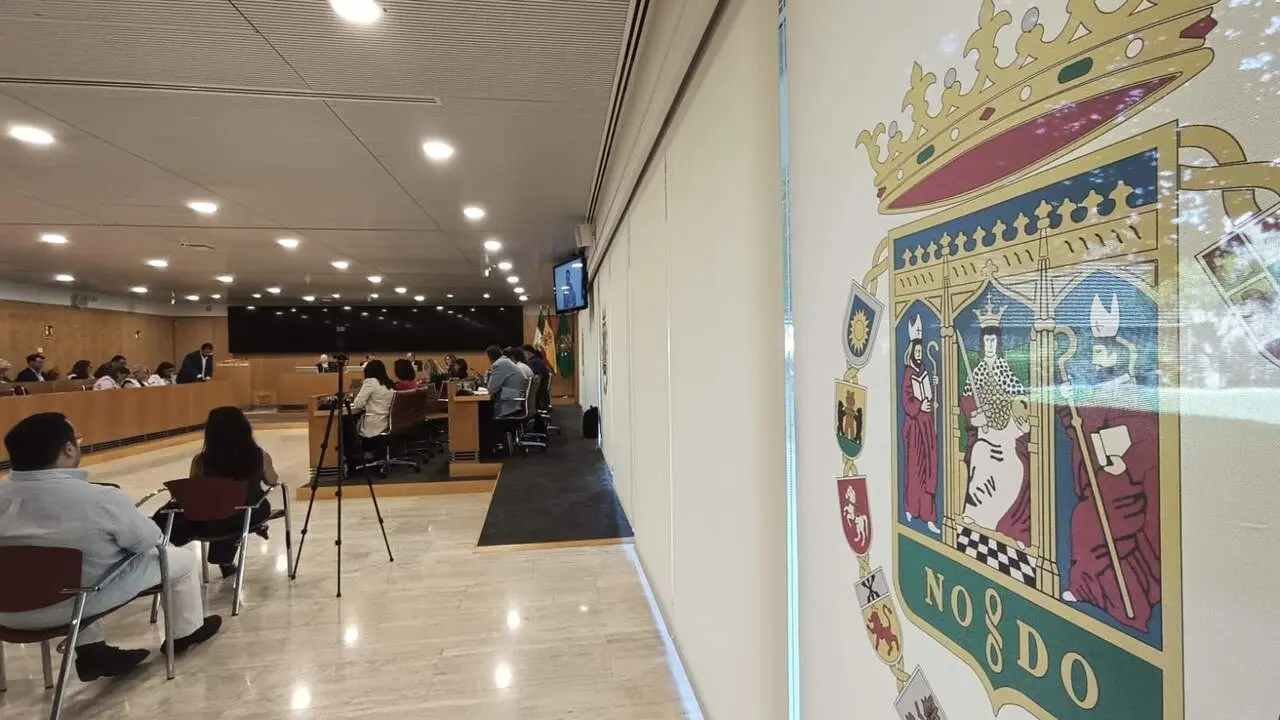 Pleno ordinario celebrado ete jueves 28 de mayo en la Diputaci&oacute;n | E.P.