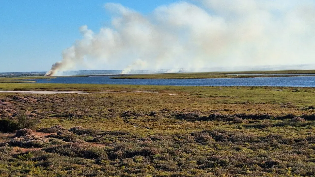Incendio en Marismas del Burro a primera hora de este mi&eacute;rcoles. | Infoca.