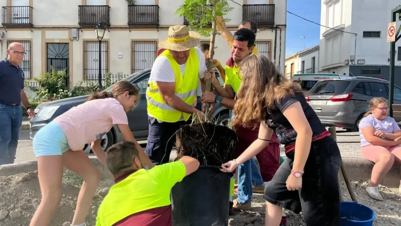 Plantaci&oacute;n de &aacute;rboles en Arjona. | Ayuntamiento de Arjona