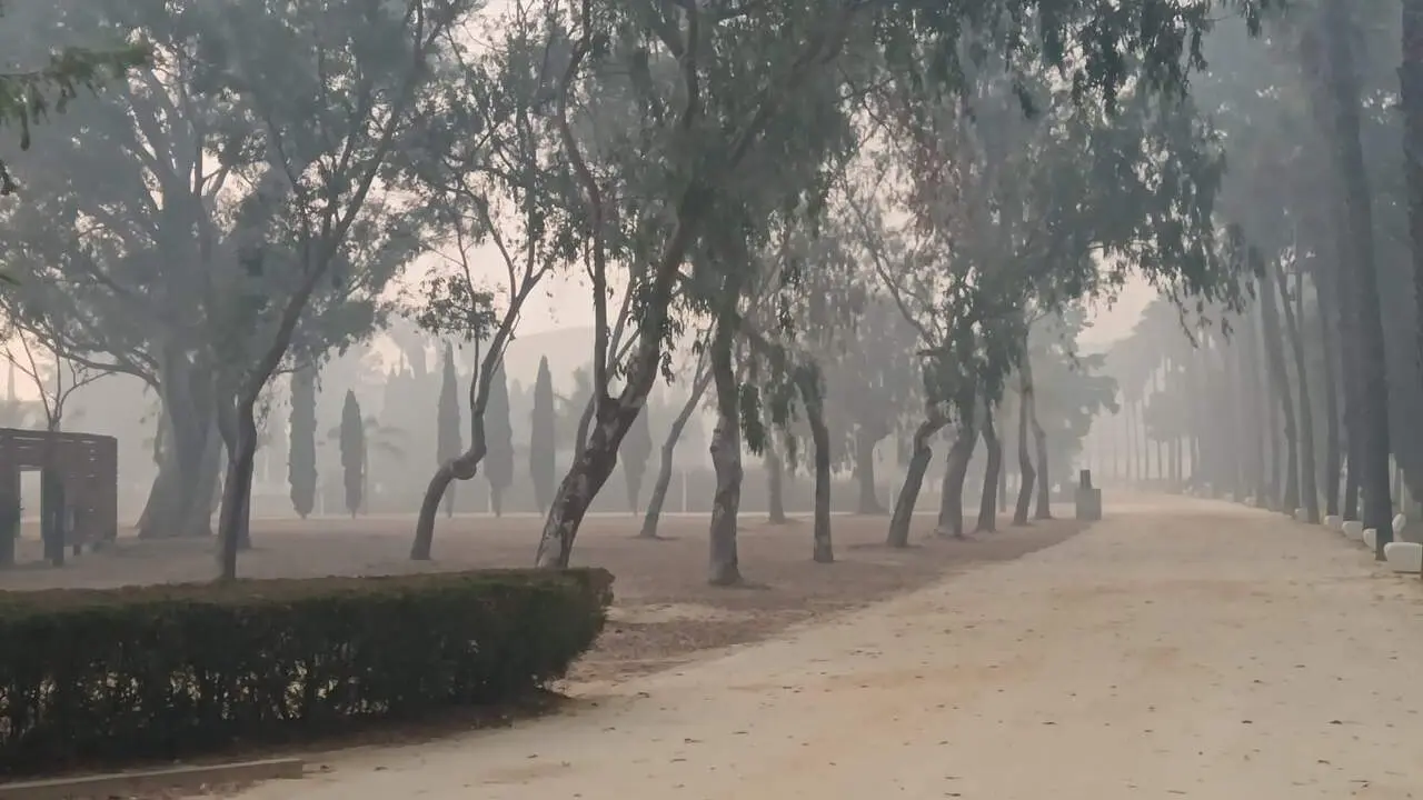 Humo en Huelva este pasado martes por el incendio en Marismas del Burro. | EP.