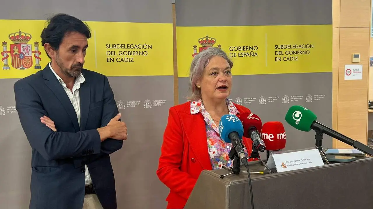 La subdelegada del Gobierno, Blanca Flores, durante su comparecencia de este jueves. / DM
