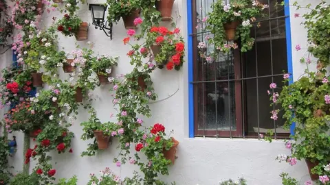 Los patios, uno de los principales atractivos tur&iacute;sticos de C&oacute;rdoba. - EP