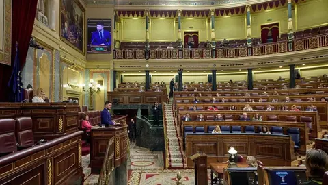 Debate en el Congreso. - EP