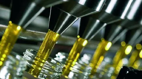Vejer contar&aacute; con una nueva f&aacute;brica de aceite de oliva. - V. J.