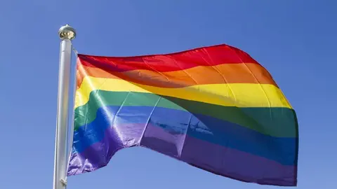 Bandera del Orgullo. - VIVA