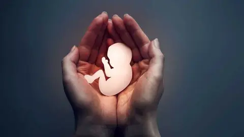 La ley del aborto.