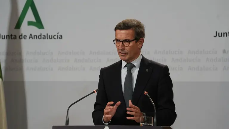 El consejero de Industria, Energ&iacute;a y Minas, Jorge Paradela Guti&eacute;rrez. | EP