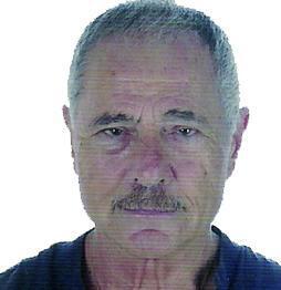 Fermín Vallecillos - Viva