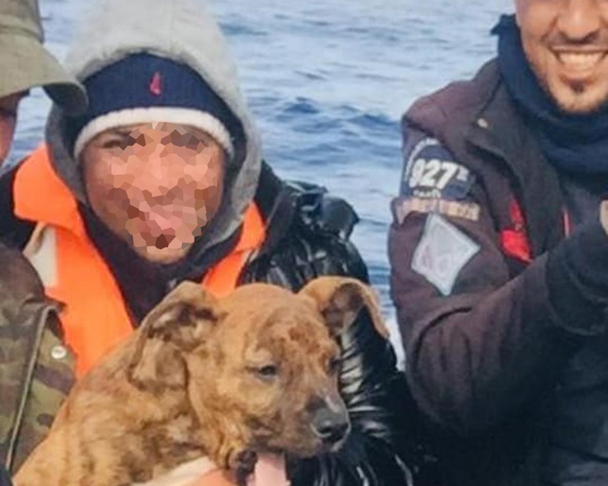 Imagen del perro a bordo de la patera en la que llegó a Cádiz.