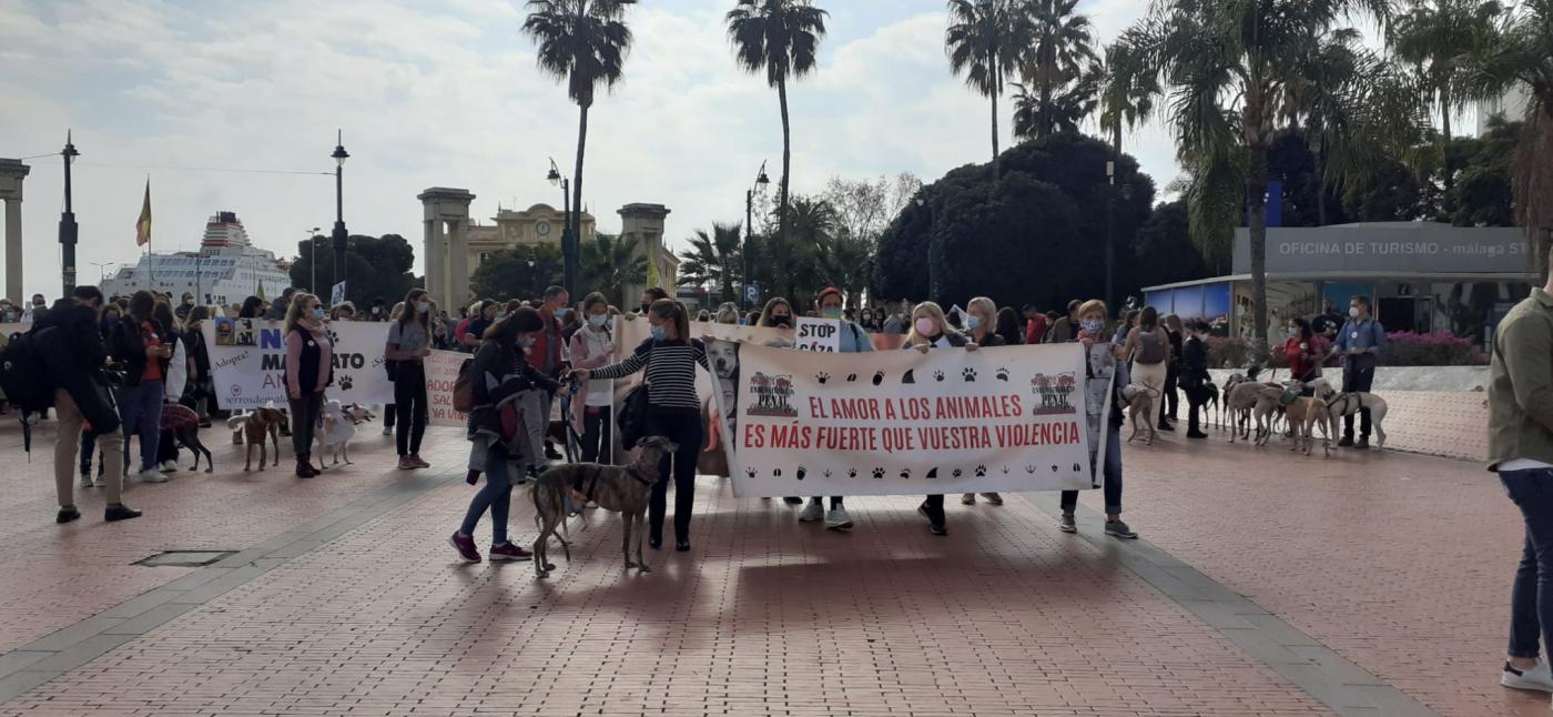 Protesta en Málaga.