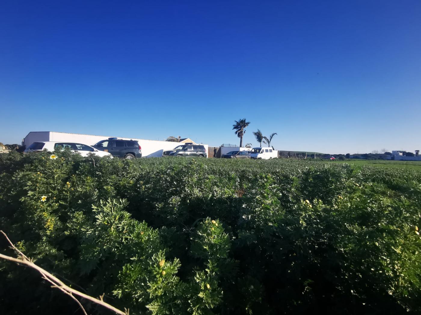 Registros en viviendas de El Palmar.