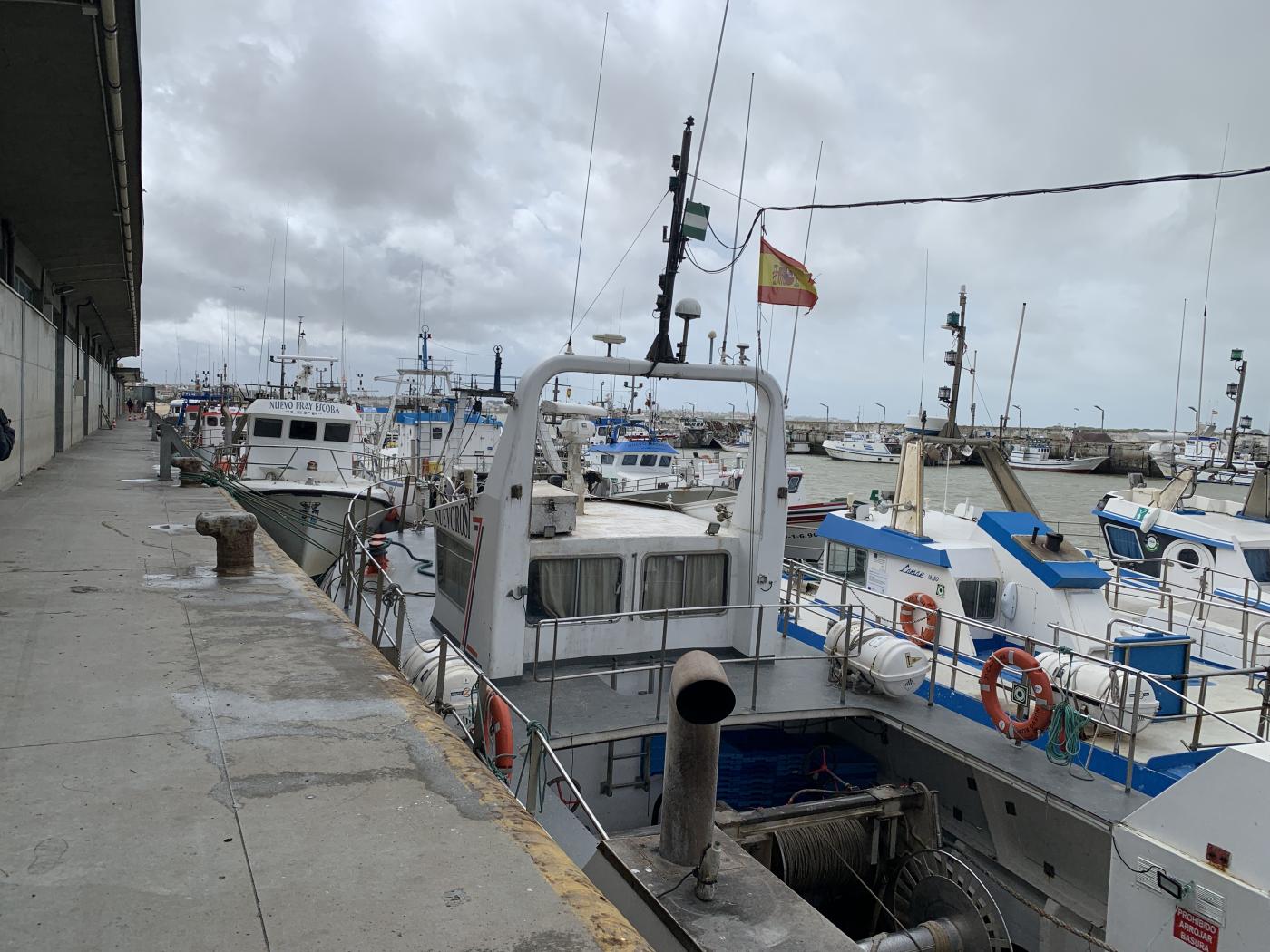 Los barcos del puerto de Bonanza llevan amarrados a puerto desde el martes pasado.