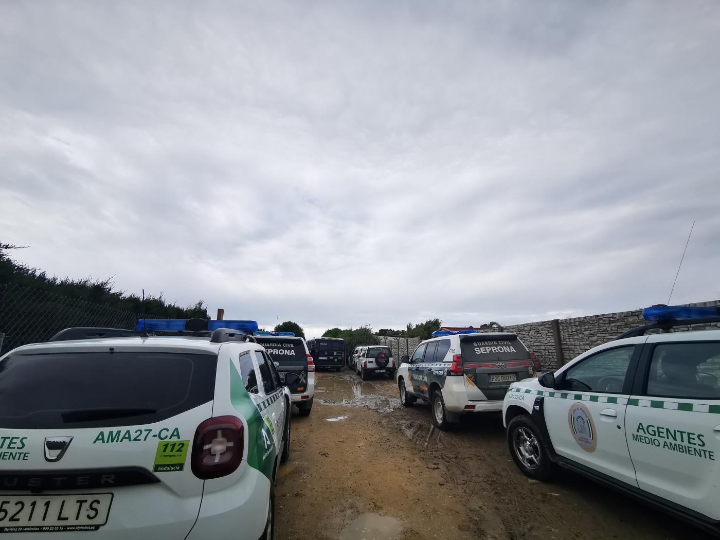 Operación contra las construcciones ilegales en El Palmar.
