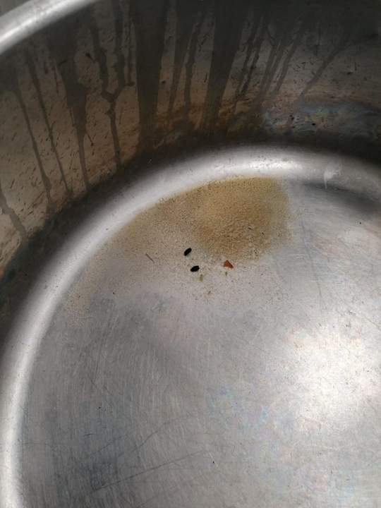 Excrementos de ratas.