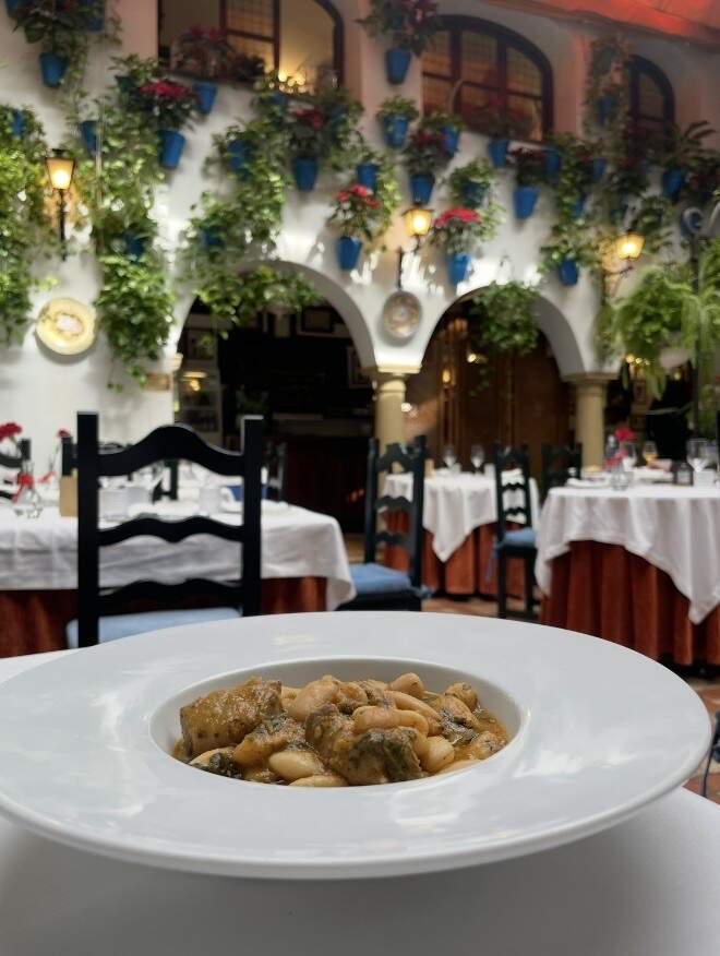 Patio y gastronomía cordobesa
