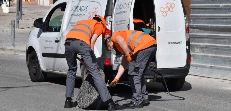 Tomares inicia una nueva campaña preventiva de desinsectación y desratización