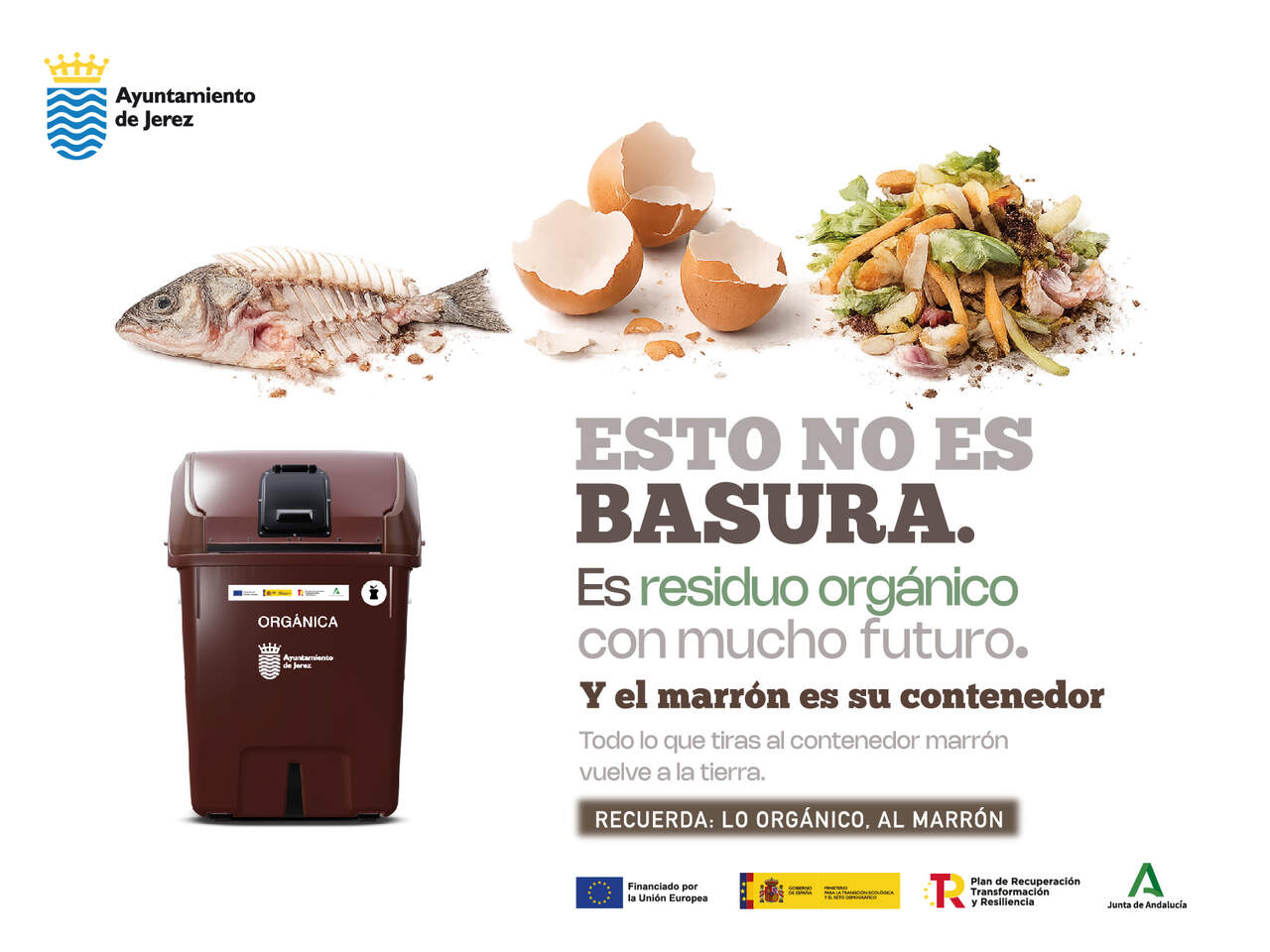 Publicidad 3392974